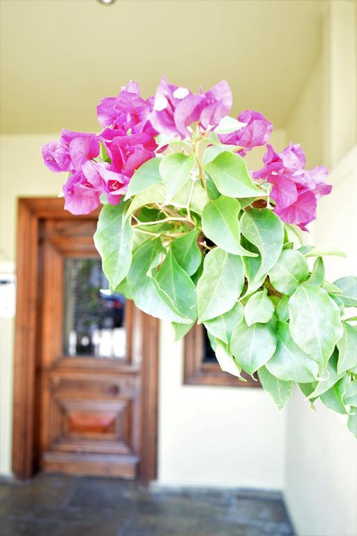 Anastasiadis House